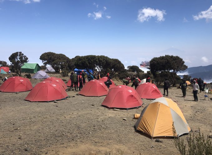 Kilimanjaro Climbing and Tanzania Safaris