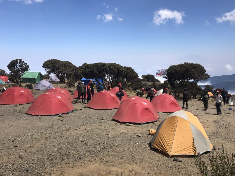 Kilimanjaro Climbing and Tanzania Safaris